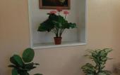 Туры в отель Lyuks Hotel Туры в отель Lyuks Hotel