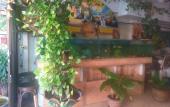 Туры в отель SV HOUSE Guest house Туры в отель SV HOUSE Guest house