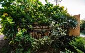 Туры в отель Abian Huts Dream Beach Lembongan Туры в отель Abian Huts Dream Beach Lembongan