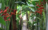 Туры в отель Coconut Grove Boutique Hotel Туры в отель Coconut Grove Boutique Hotel