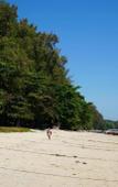 Туры в отель Coconut Grove Boutique Hotel Туры в отель Coconut Grove Boutique Hotel