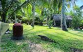 Туры в отель Coconut Island Туры в отель Coconut Island
