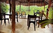 Туры в отель Coconut Island Туры в отель Coconut Island
