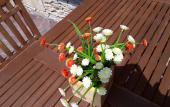 Туры в отель Dubrava Guest House Туры в отель Dubrava Guest House