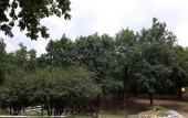 Туры в отель Dubrava Guest House Туры в отель Dubrava Guest House