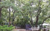 Туры в отель Dubrava Guest House Туры в отель Dubrava Guest House