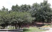 Туры в отель Dubrava Guest House Туры в отель Dubrava Guest House