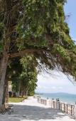 Туры в отель Anakopiya Club Hotel Туры в отель Anakopiya Club Hotel