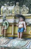 Туры в отель Heaven Seven Nuwara Eliya Туры в отель Heaven Seven Nuwara Eliya