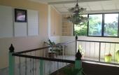 Туры в отель Kacha Resort Туры в отель Kacha Resort