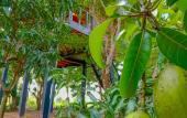 Туры в отель Kumbura Eco Lodge Туры в отель Kumbura Eco Lodge