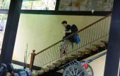 Туры в отель Birds Paradise Hotel Туры в отель Birds Paradise Hotel