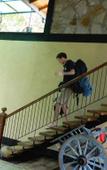 Туры в отель Birds Paradise Hotel Туры в отель Birds Paradise Hotel