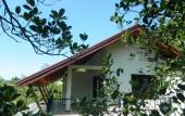 Туры в отель Birds Paradise Hotel Туры в отель Birds Paradise Hotel