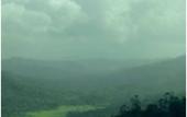 Туры в отель Spicetree Munnar Туры в отель Spicetree Munnar