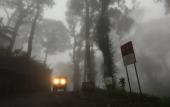 Туры в отель Spicetree Munnar Туры в отель Spicetree Munnar