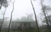 Туры в отель Spicetree Munnar Туры в отель Spicetree Munnar
