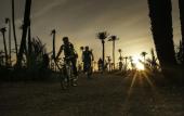 Туры в отель Fairmont Royal Palm Marrakech Туры в отель Fairmont Royal Palm Marrakech