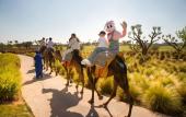 Туры в отель Fairmont Royal Palm Marrakech Туры в отель Fairmont Royal Palm Marrakech