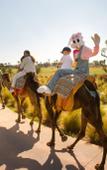 Туры в отель Fairmont Royal Palm Marrakech Туры в отель Fairmont Royal Palm Marrakech