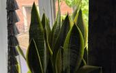 Туры в отель Galar Kholl Hotel Туры в отель Galar Kholl Hotel