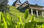 Туры в отель Pugari Otel Туры в отель Pugari Otel
