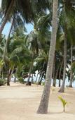 Туры в отель New Sunrise Village Maenam Beach Туры в отель New Sunrise Village Maenam Beach