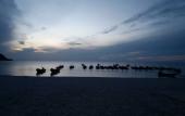 Туры в отель Haadrin Resort Туры в отель Haadrin Resort