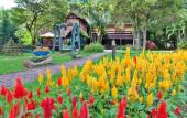 Туры в отель Phu Ing Fah Resort Туры в отель Phu Ing Fah Resort