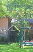 Туры в отель Phu Ing Fah Resort Туры в отель Phu Ing Fah Resort