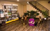 Туры в отель Sitara Hotel Туры в отель Sitara Hotel