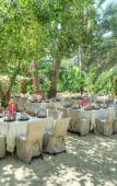 Туры в отель Ras El Ain Туры в отель Ras El Ain