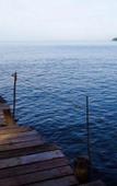 Туры в отель Sea Flower Resort (SHA Extra Plus) Туры в отель Sea Flower Resort (SHA Extra Plus)