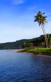 Туры в отель Sea Flower Resort (SHA Extra Plus) Туры в отель Sea Flower Resort (SHA Extra Plus)