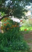 Туры в отель Hotel Bereg Туры в отель Hotel Bereg