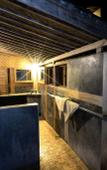 Туры в отель Pondok Pitaya Hotel, Surfing & Yoga Туры в отель Pondok Pitaya Hotel, Surfing & Yoga