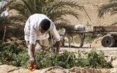 Туры в отель Taziry Ecolodge & Sustainable Village Туры в отель Taziry Ecolodge & Sustainable Village