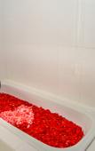 Туры в отель The Diana Suite Hotel Туры в отель The Diana Suite Hotel