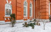 Туры в отель Skala Hotel Туры в отель Skala Hotel