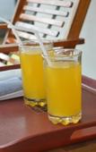 Туры в отель The Countryside Udawalawe Туры в отель The Countryside Udawalawe