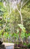 Туры в отель Green View Ubud Hostel Bali Туры в отель Green View Ubud Hostel Bali