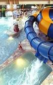 Туры в отель Great Wolf Lodge Туры в отель Great Wolf Lodge
