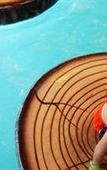 Туры в отель Great Wolf Lodge Туры в отель Great Wolf Lodge