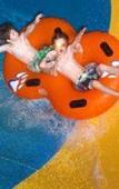 Туры в отель Great Wolf Lodge Туры в отель Great Wolf Lodge