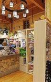 Туры в отель Great Wolf Lodge Туры в отель Great Wolf Lodge