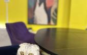 Туры в отель Tochka Hostel Туры в отель Tochka Hostel