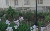 Туры в отель Tsentral'naya Hotel Туры в отель Tsentral'naya Hotel