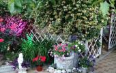 Туры в отель Na Rostovskoj 50 Guest House Туры в отель Na Rostovskoj 50 Guest House