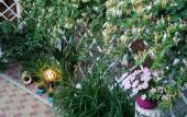 Туры в отель Na Rostovskoj 50 Guest House Туры в отель Na Rostovskoj 50 Guest House