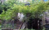 Туры в отель Tiger Hostel Туры в отель Tiger Hostel
